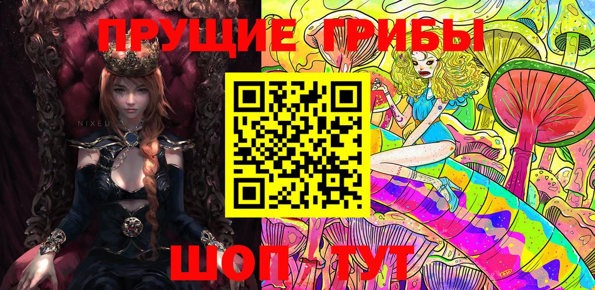 Псилоцибиновые грибы Psilocybe Мирный